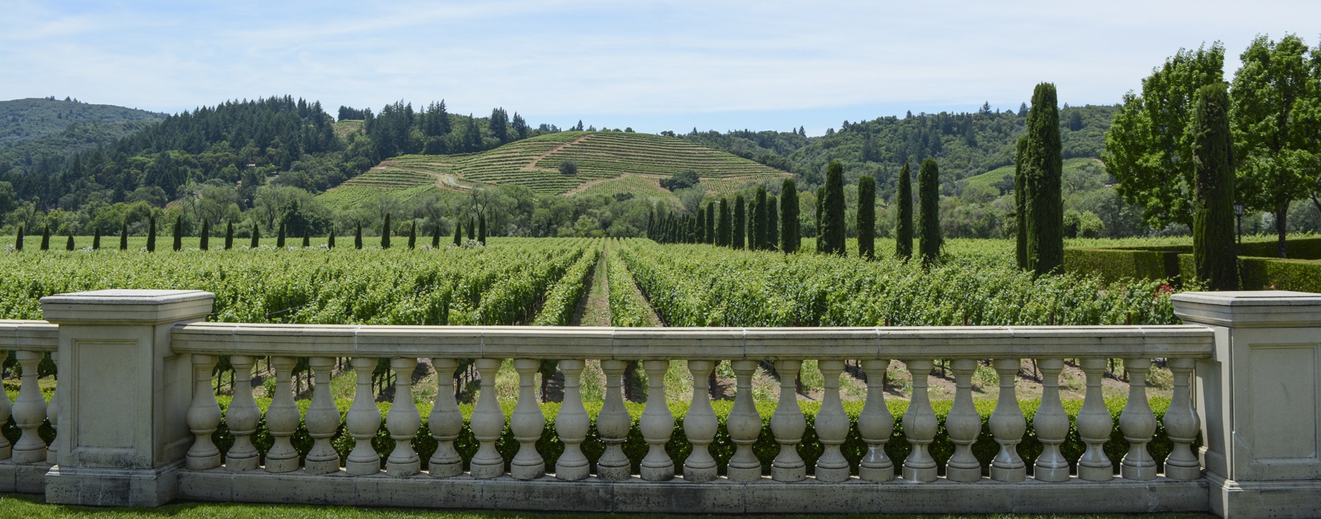 Ferrari Carano landscape