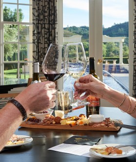 Reserve Wine Tasting in Villa Salon