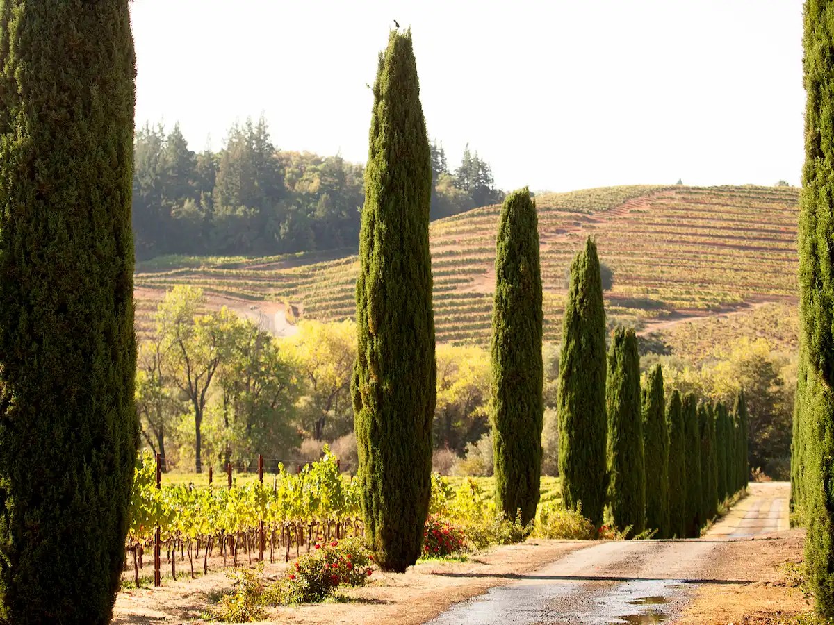 ava dry creek valley