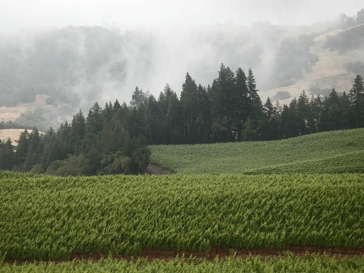 ava russian river valley