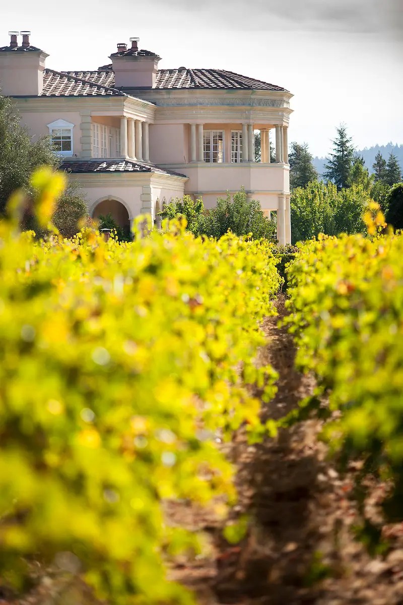 Vineyard and Villa